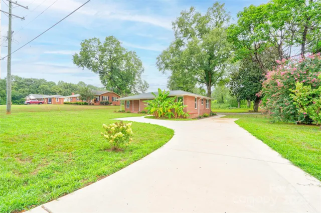 a view of a park with large trees