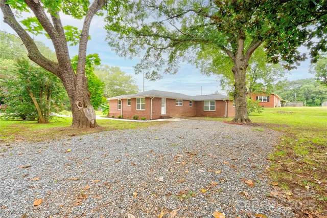 a house with huge tree in front of it