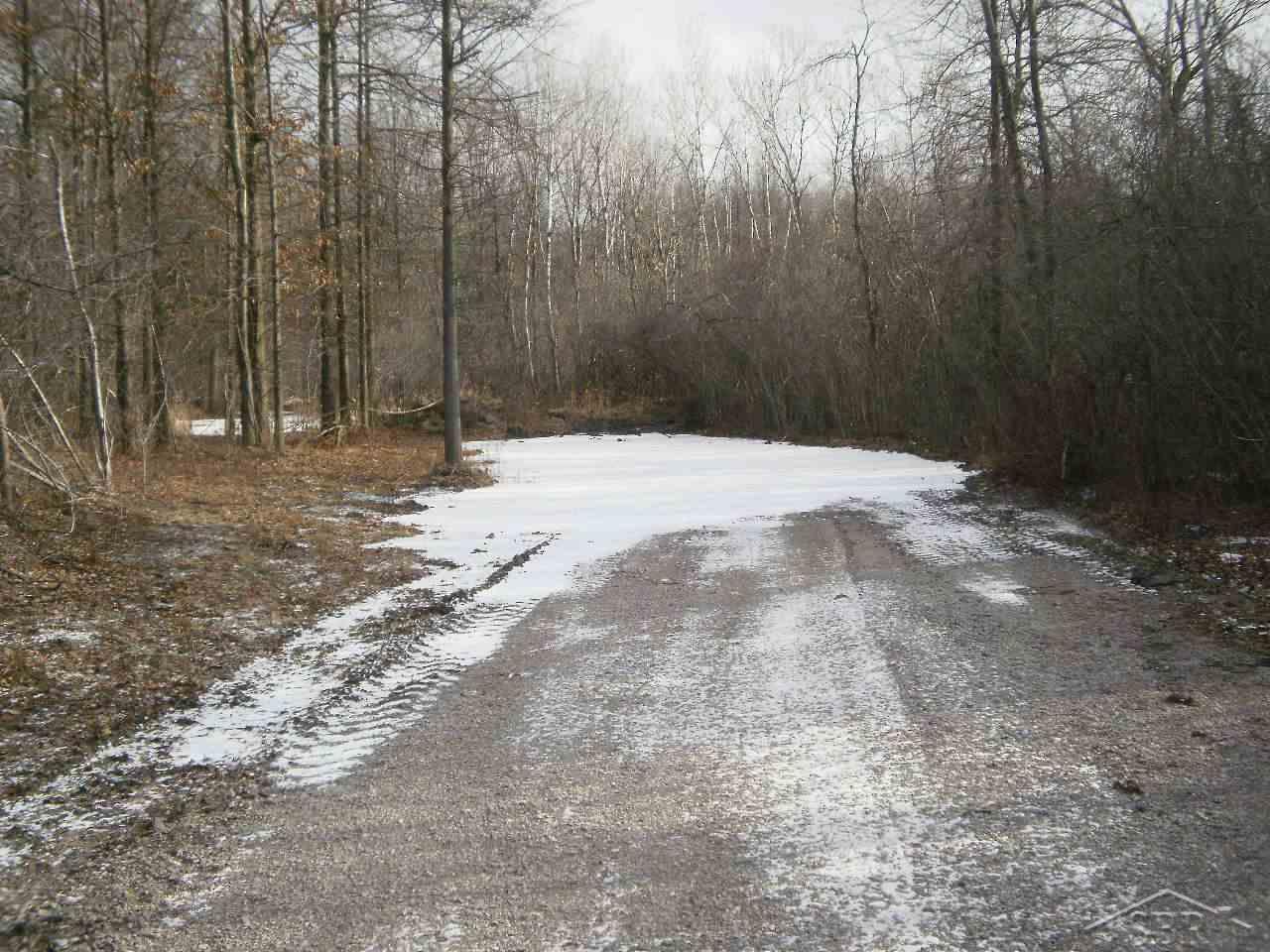 Pettit Road Birch Run, MI 48415 - Photo 8 of 10 31310371-7.JPG