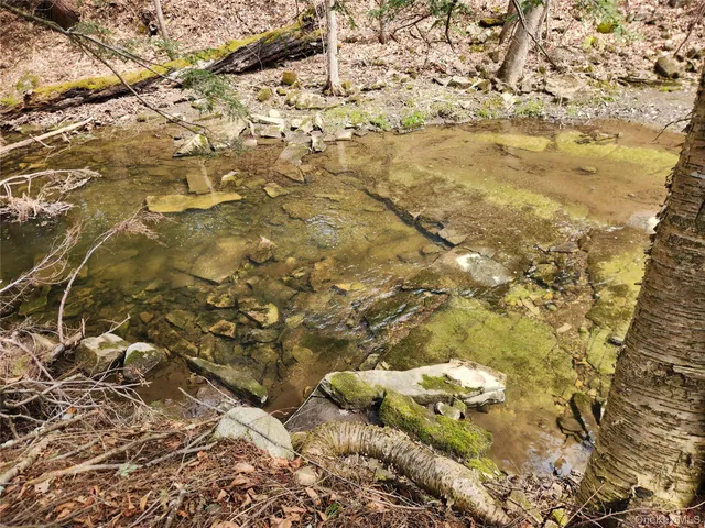 a picture of flowers