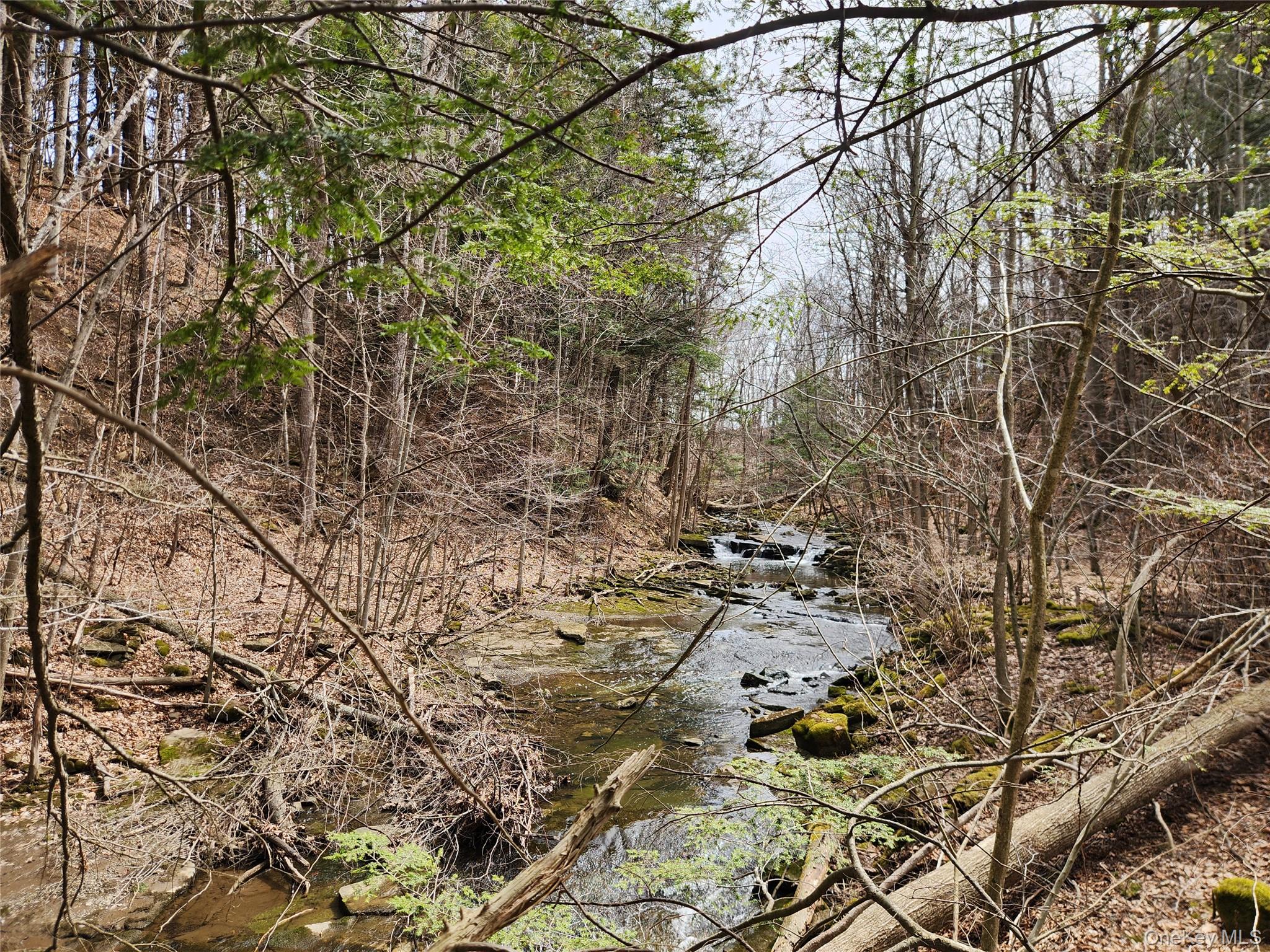 Moyer Road Sprakers, NY 12166 - Photo 6 of 10 a view of a yard with a tree