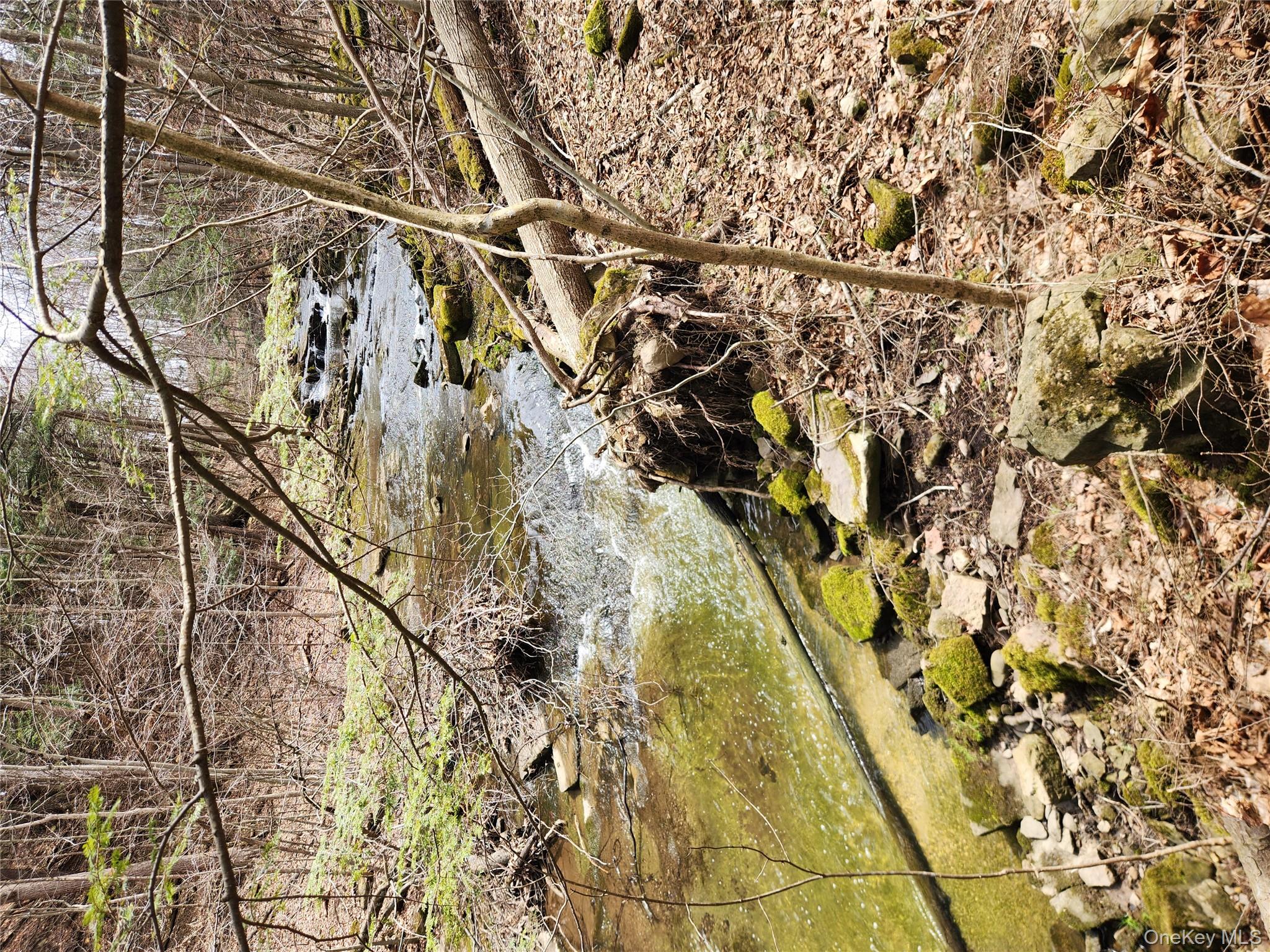 Moyer Road Sprakers, NY 12166 - Photo 7 of 10