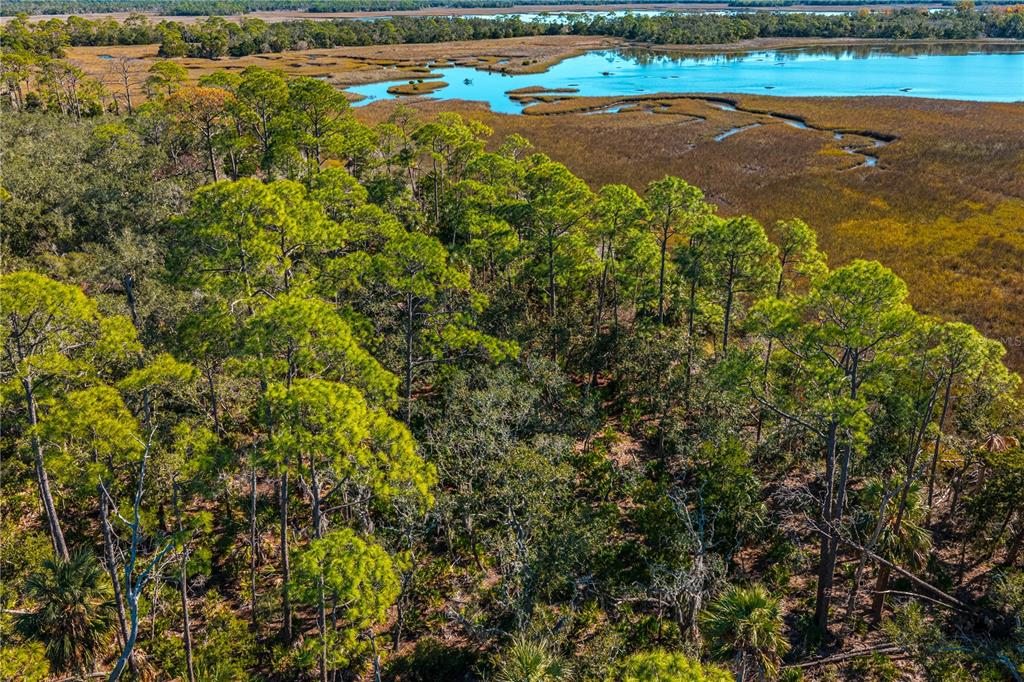 Clark Island Cedar Key, FL 32625 - Photo 22 of 46