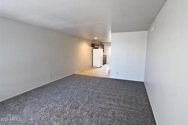 a view of a big room with closet and windows