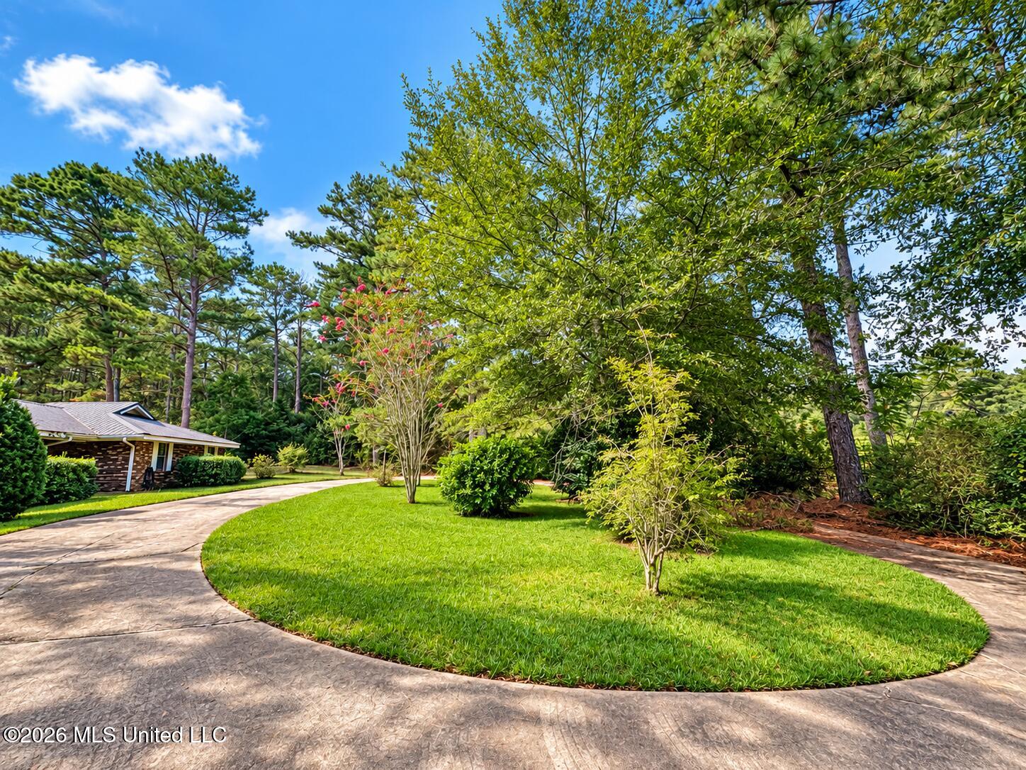 751 Clem Road Prentiss, MS 39474 - Photo 4 of 43 94703048-D677-4215-BAB7-315D2FC78CB7