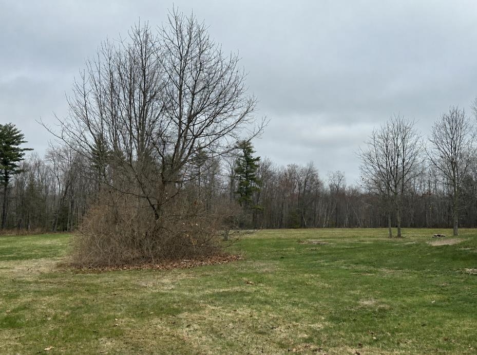 0 Salmon Falls Road Rochester, NH 03868 - Photo 1 of 4