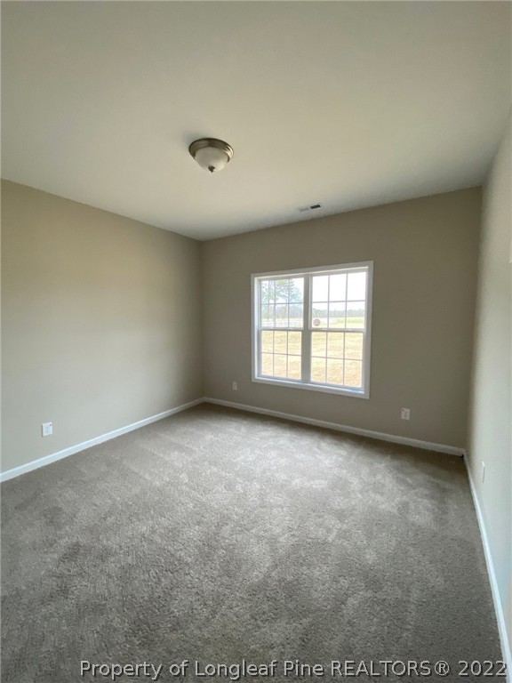 6325 New Hope Church Road Wade, NC 28395 - Photo 19 of 22 Gallery Image 19