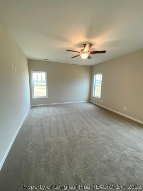 6325 New Hope Church Road Wade, NC 28395 - Photo 20 of 22 Gallery Image 20