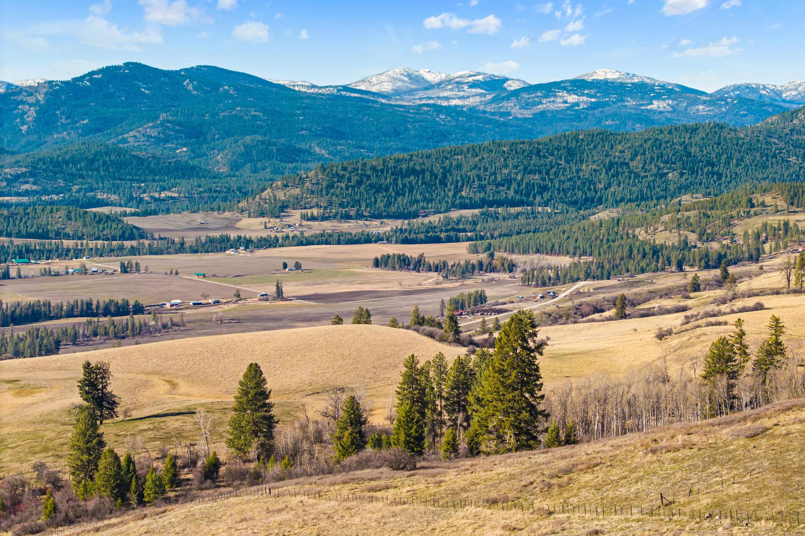 2697 Bridgeman-Rettinger Road Kettle Falls, WA 99141 - Photo 7 of 10