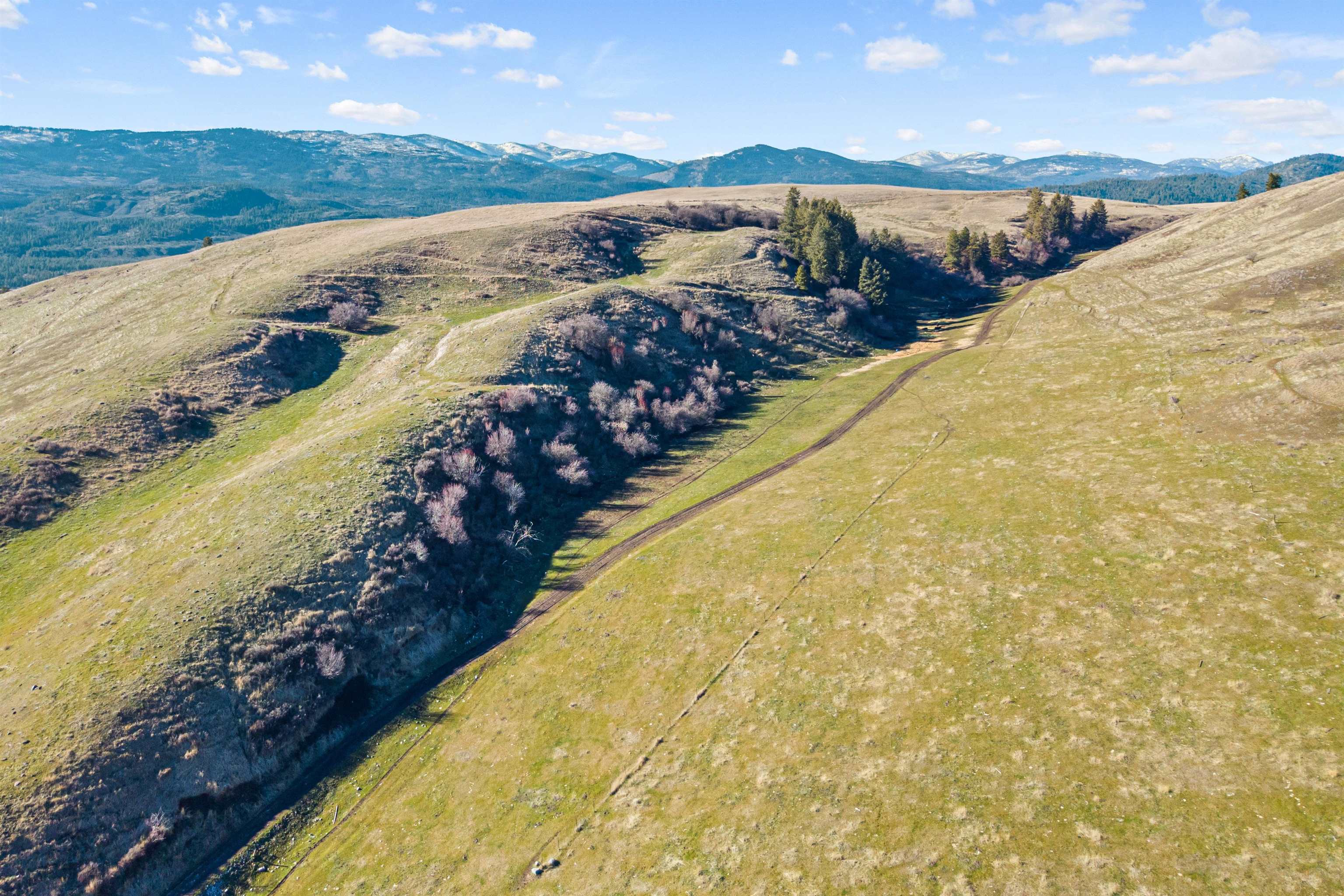 2697 Bridgeman-Rettinger Road Kettle Falls, WA 99141 - Photo 10 of 10