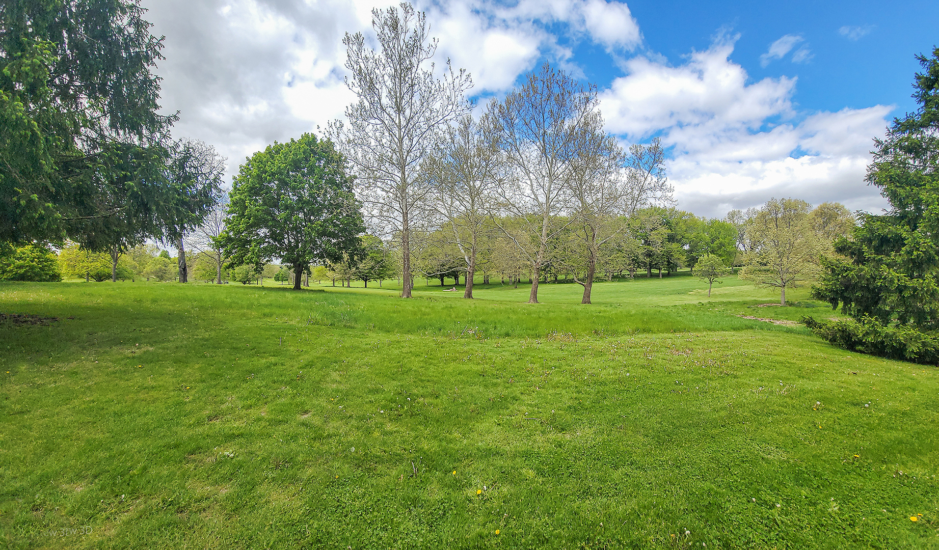 -n120 Windermere Road, Unit 2008 Winfield, IL 60190 - Photo 23 of 23 a view of a park with large trees