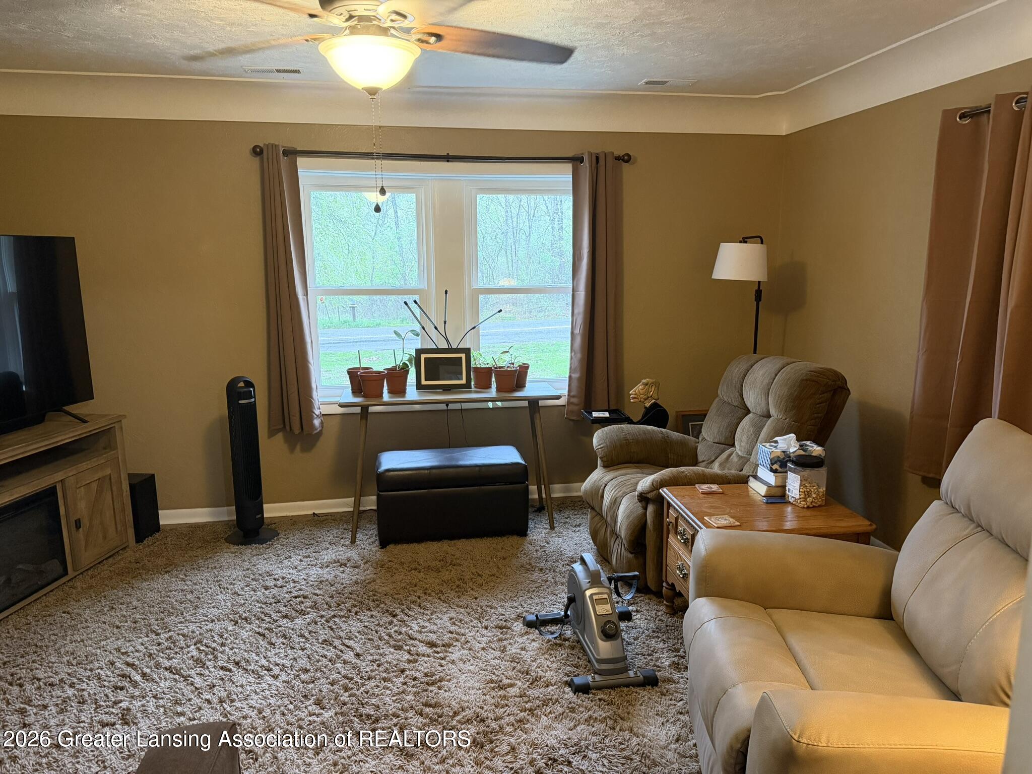 5399 Kinneville Road Onondaga, MI 49264 - Photo 11 of 30 Living Rm