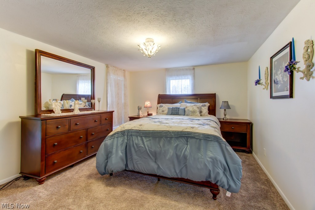 6689 Madison Road Thompson, OH 44086 - Photo 17 of 24