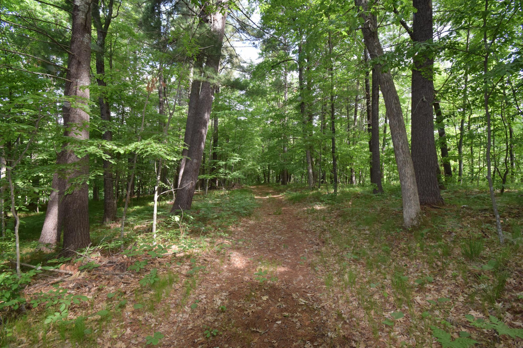 7118 Gordon Road Siren, WI 54872 - Photo 22 of 31