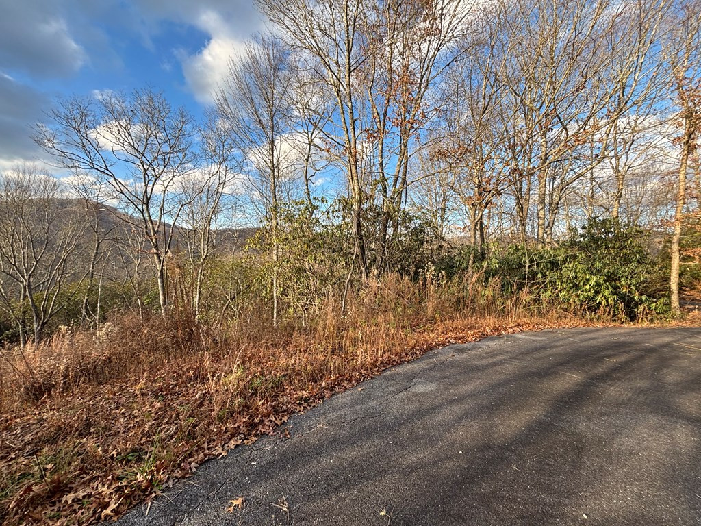 2.02-ac Viewforth Place Topton, NC 28781 - Photo 4 of 9