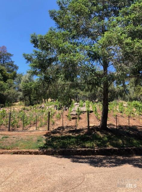 1412 Quail Court Santa Rosa, CA 95404 - Photo 43 of 44