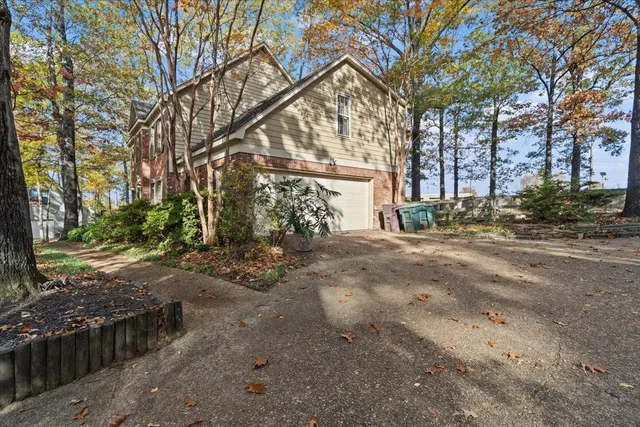 a view of road with large trees