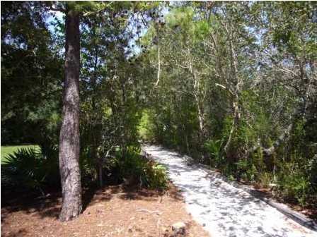 316 Wilderness Way Santa Rosa Beach, FL 32459 - Photo 10 of 13 Gallery Image 10