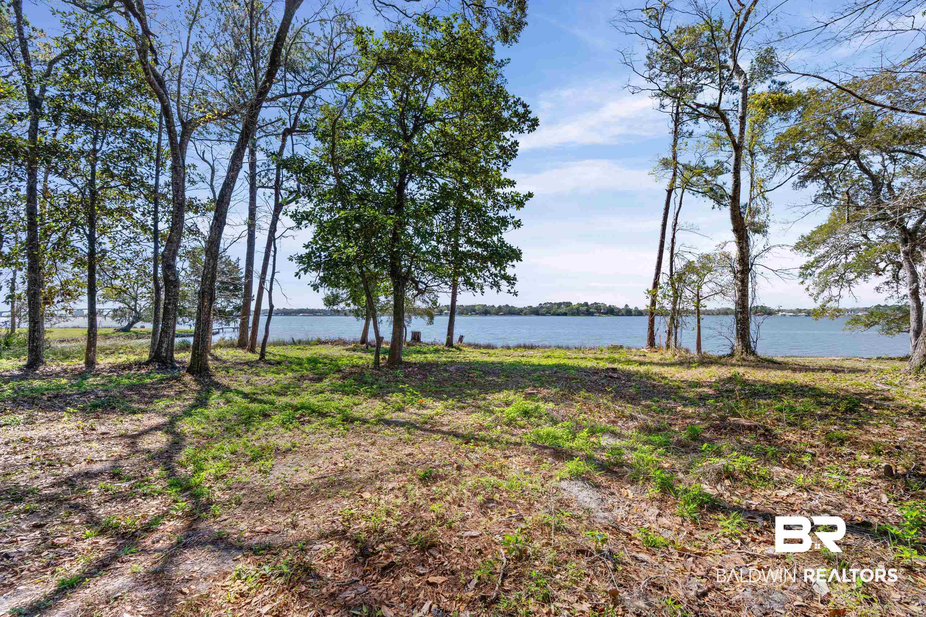 Forrest Street Mobile, AL 36605 - Photo 5 of 19