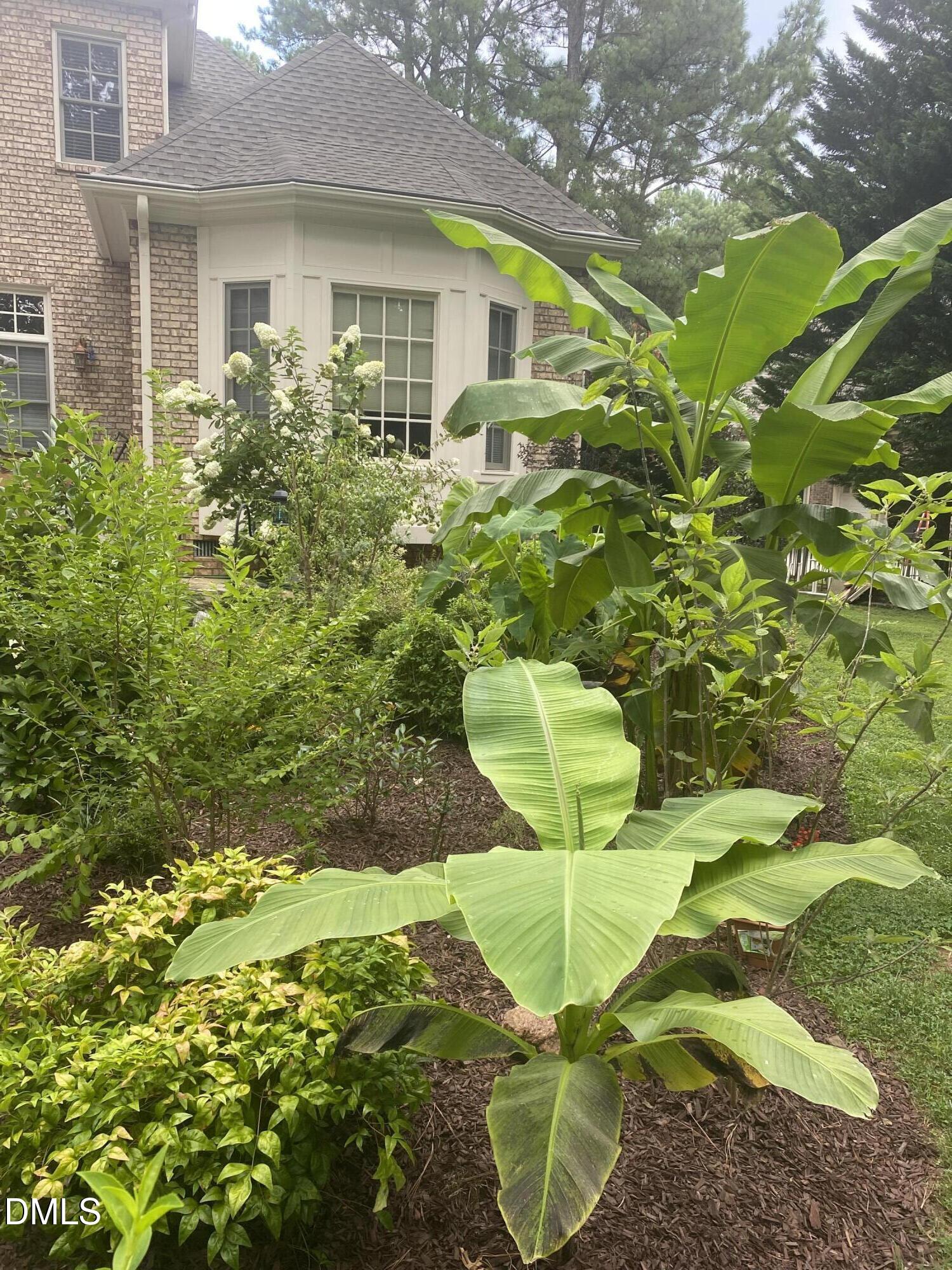 10101 Lobley Hill Lane Raleigh, NC 27613 - Photo 88 of 101 IMG_4386
