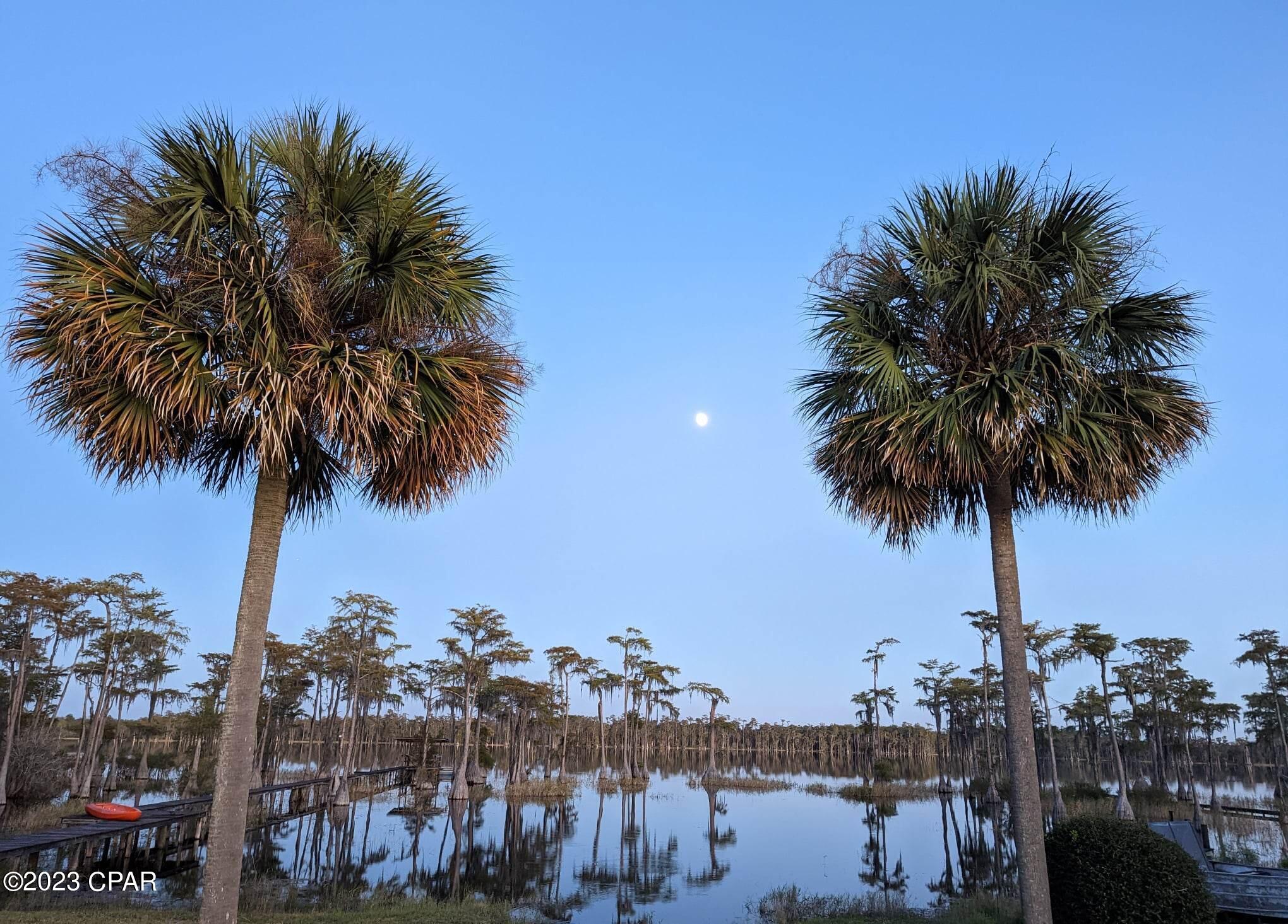 4713 Lakeshore Boulevard Altha, FL 32421 - Photo 2 of 2