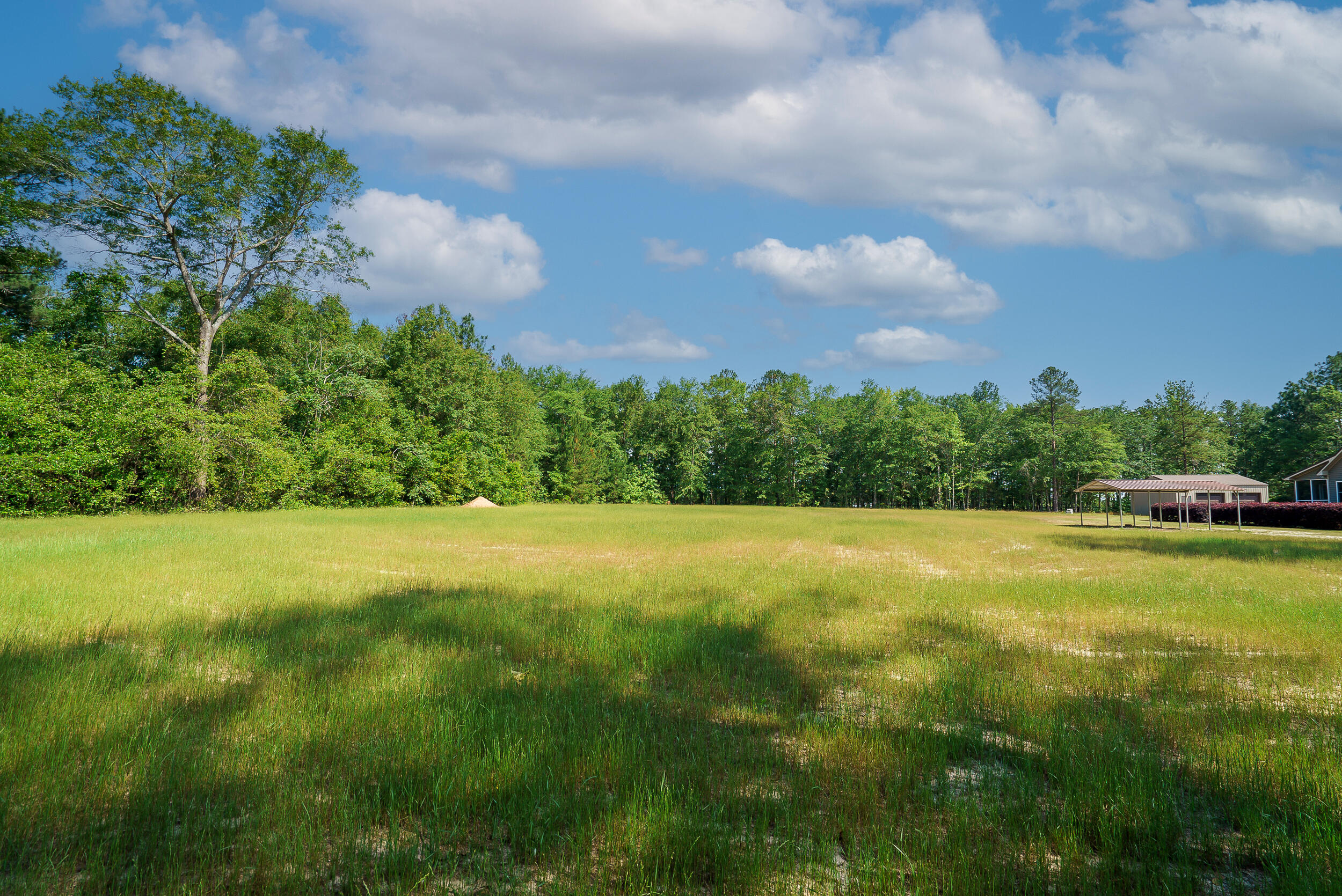 8400 Emerson Road Aiken, SC 29801 - Photo 48 of 75