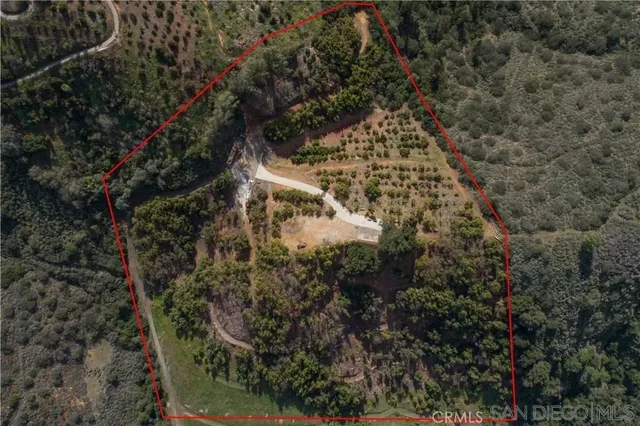 a bird view of building