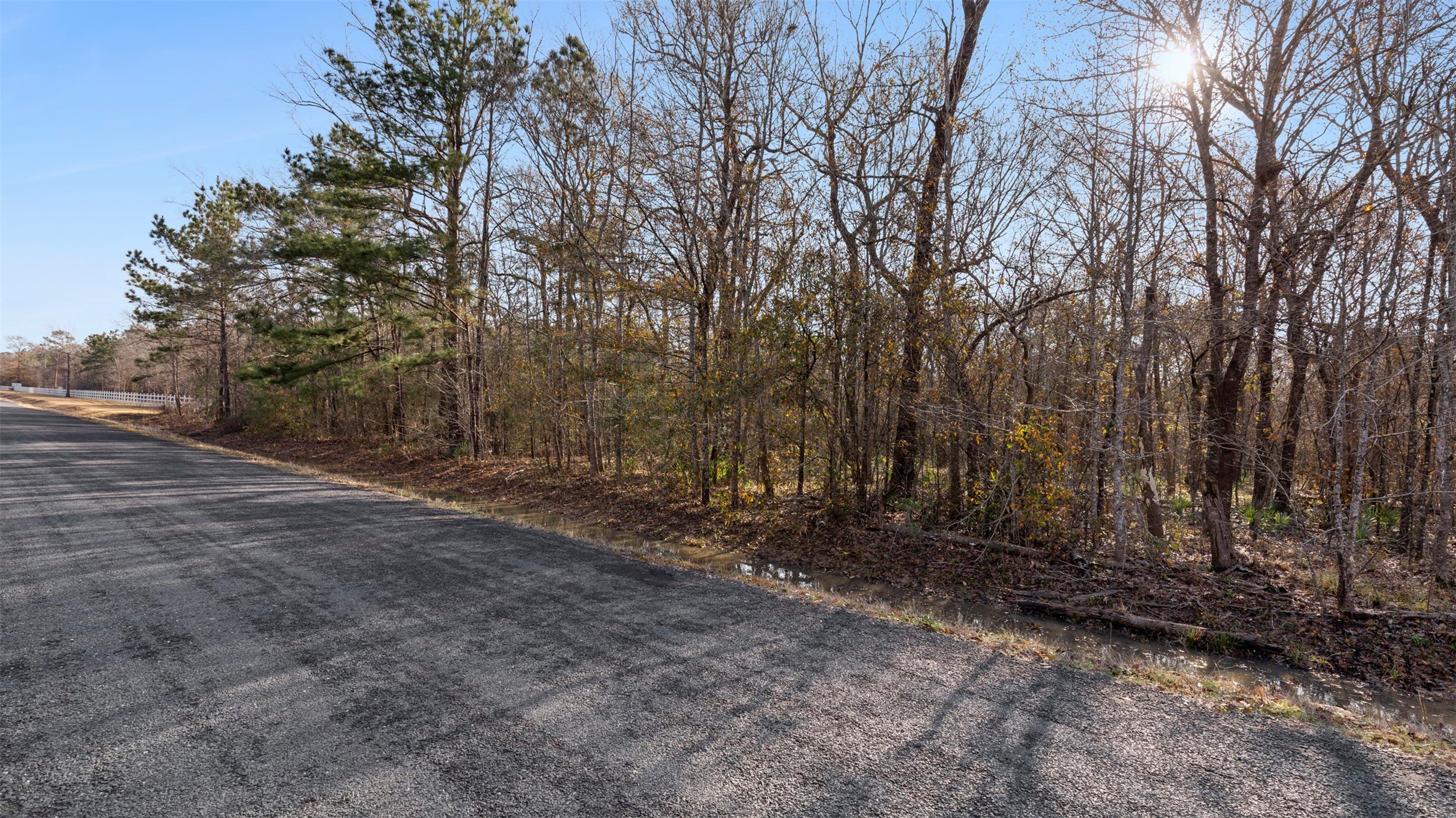 Tbd Rhonda Rosa Road Wallisville, TX 77597 - Photo 8 of 8