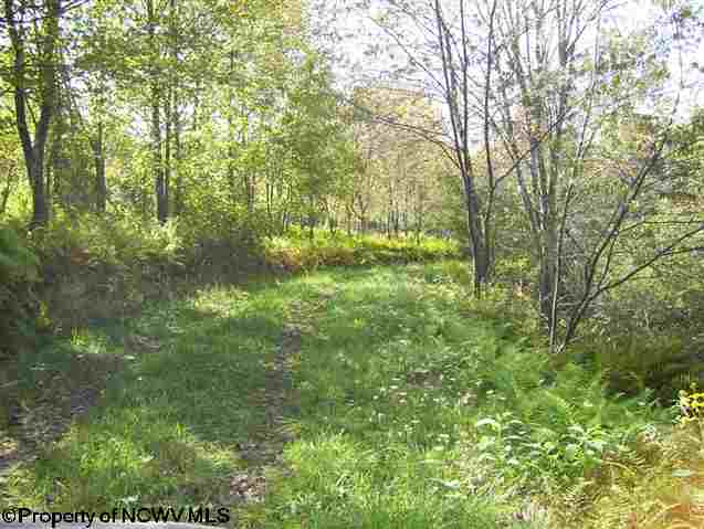 0 Pennington Road Dryfork, WV 26263 - Photo 9 of 10 Gallery Image 9