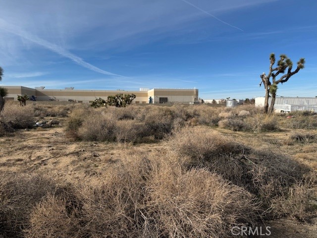 42901 6th Street East Lancaster, CA 93535 - Photo 2 of 12 a view of a dry yard with trees