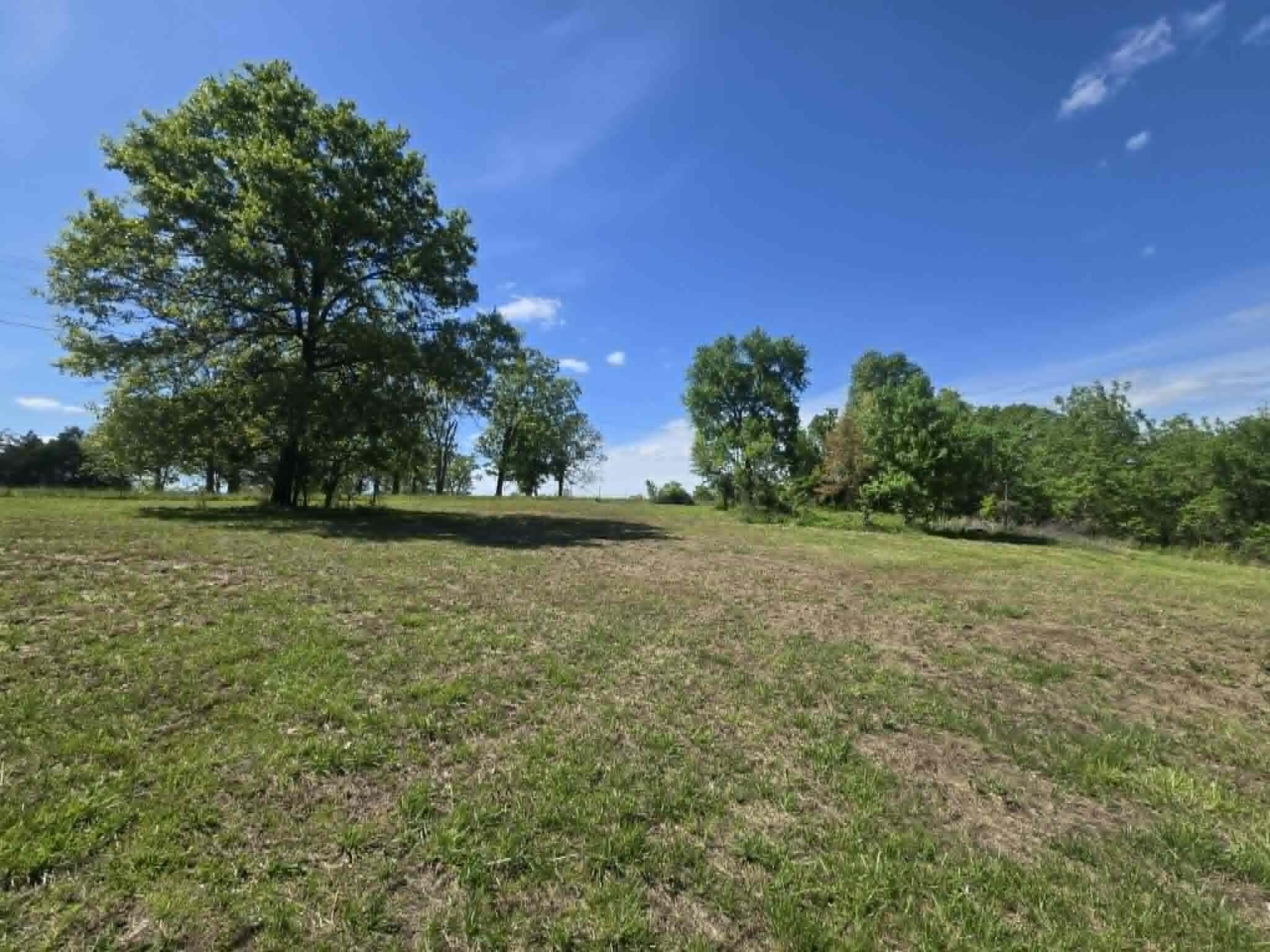14008 Airport Road Cabool, MO 65689 - Photo 4 of 16 20a3de44-5179-41ca-a8ca-f0d94cb994e2