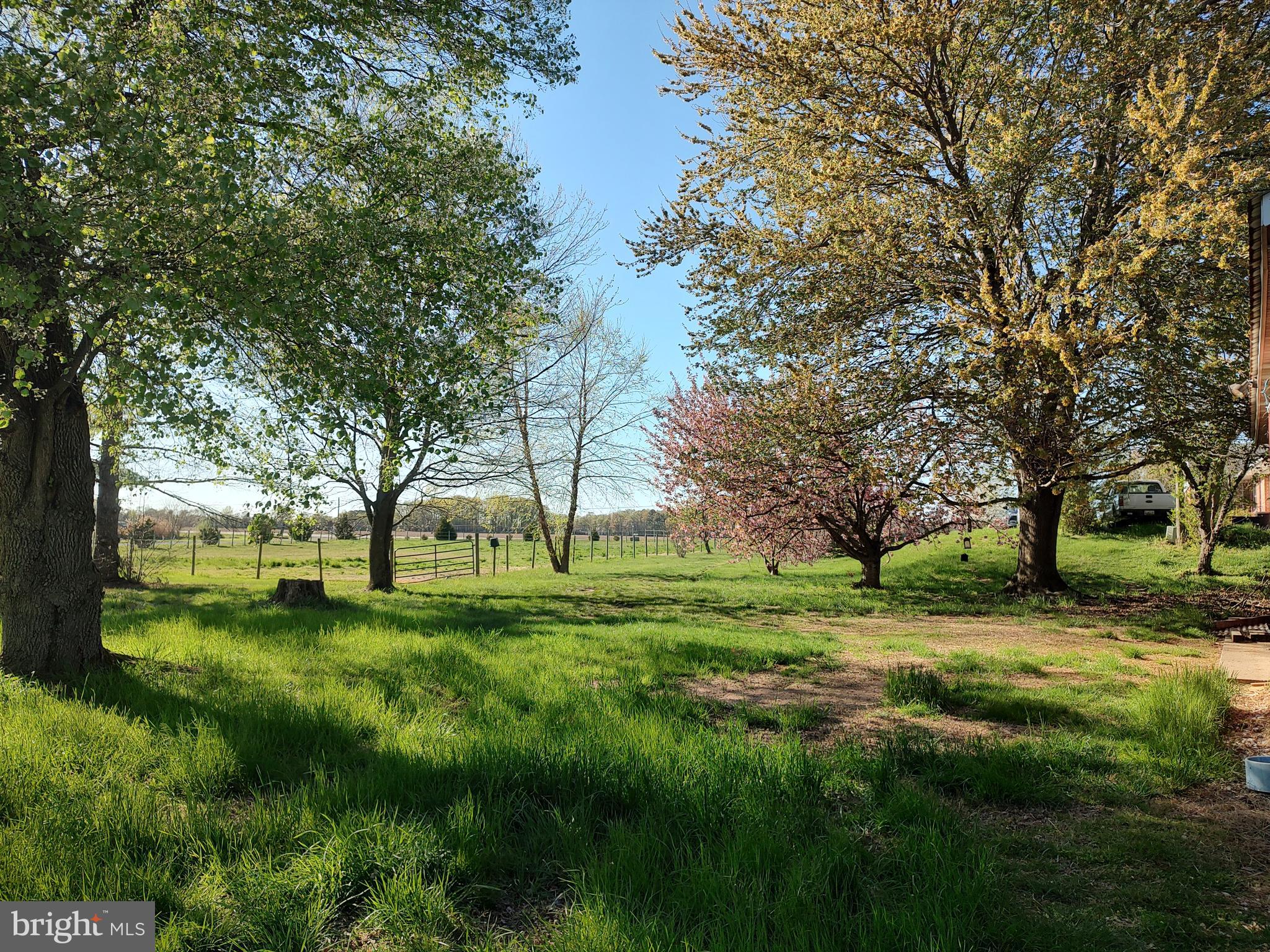 12397 Ridgely Road Ridgely, MD 21660 - Photo 55 of 62 Pasture with ElectroBraid fence