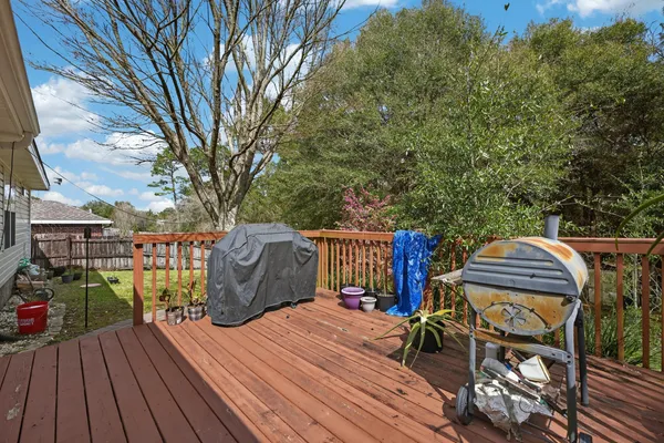 a view of a yard with large trees