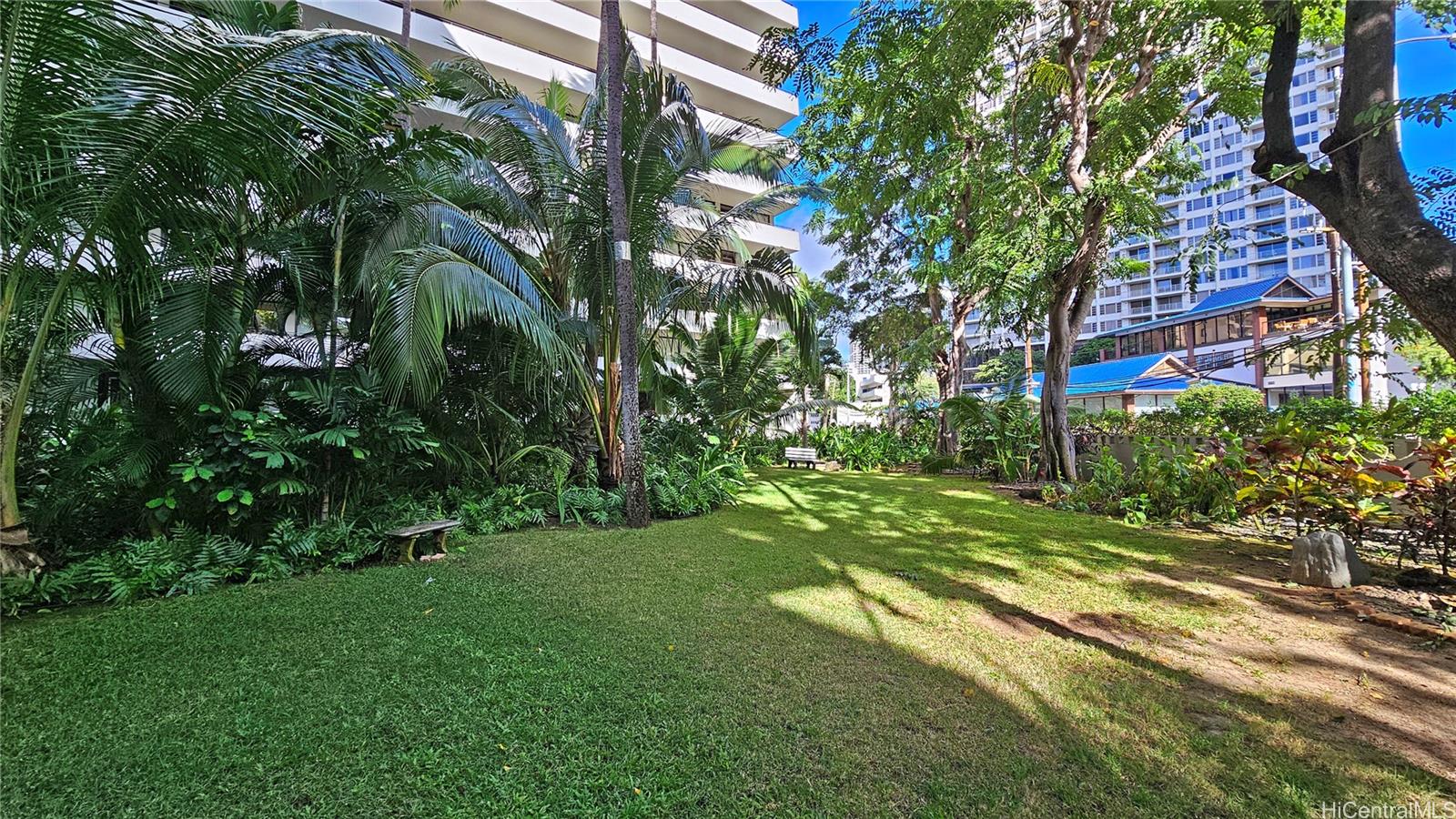 425 Ena Road, Unit B501 Honolulu, HI 96815 - Photo 11 of 16 a view of a yard with plants and large trees