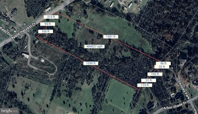 a view of a tree with a park