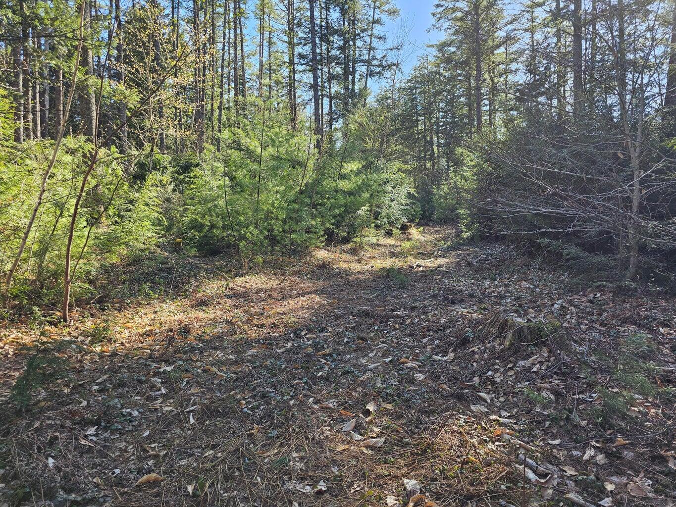 0 Hancock Pond Road Denmark, ME 04022 - Photo 14 of 22 15