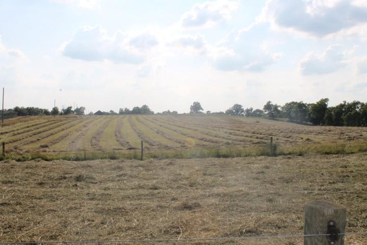 2730 Millersburg Ruddles Mill Road Paris, KY 40361 - Photo 5 of 16 Photo 5