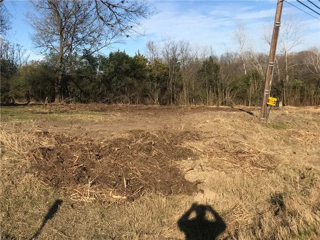 a view of outdoor space yard and trees