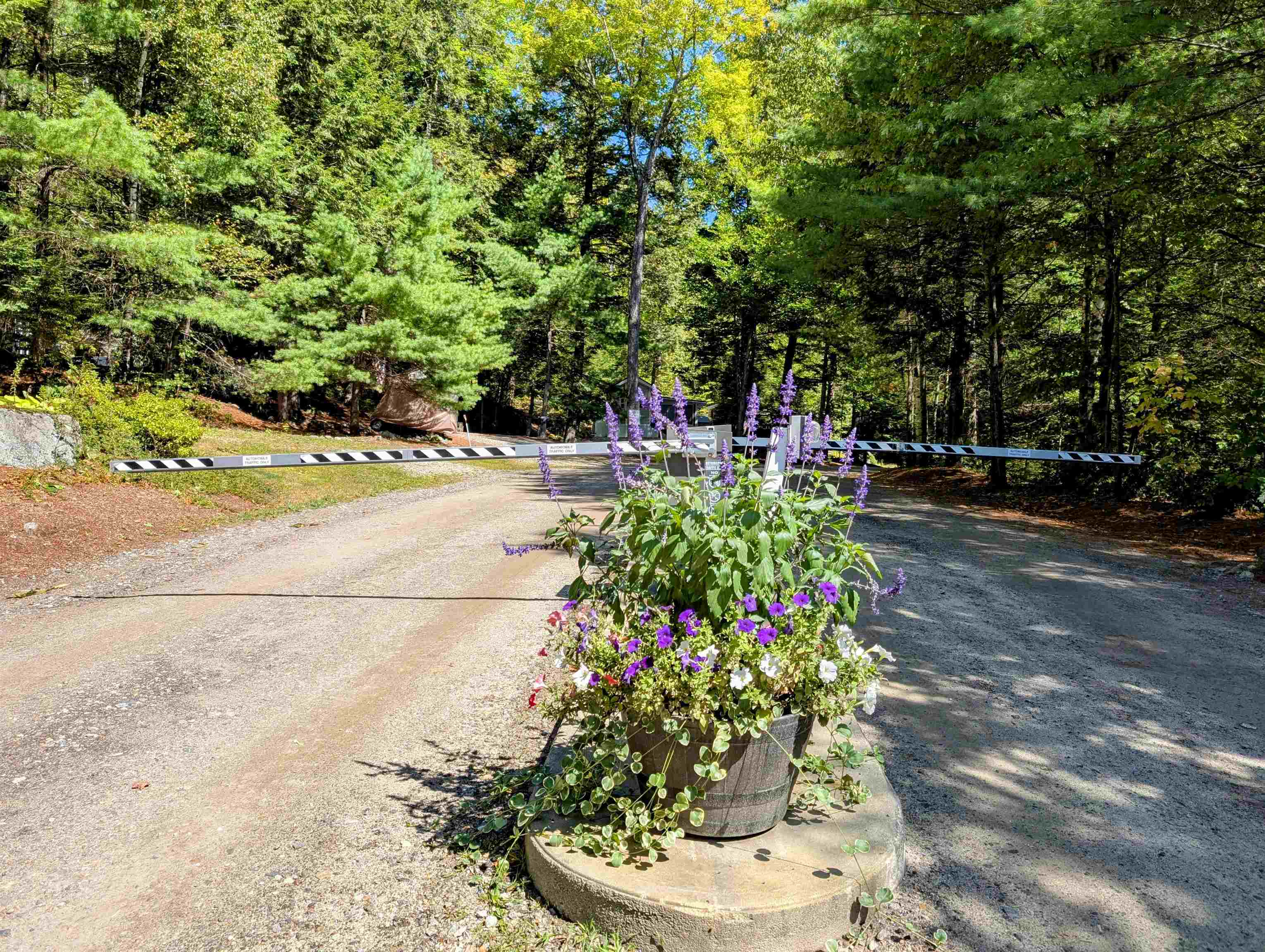 47 Overlook Road, Unit AKA 15) Holderness, NH 03245 - Photo 51 of 59