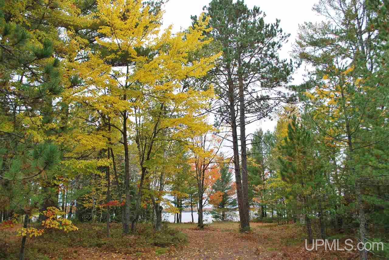 Tbd Little Rice Lake Rd (lot 18), Unit 18 Lake Linden, MI 49945 - Photo 9 of 34