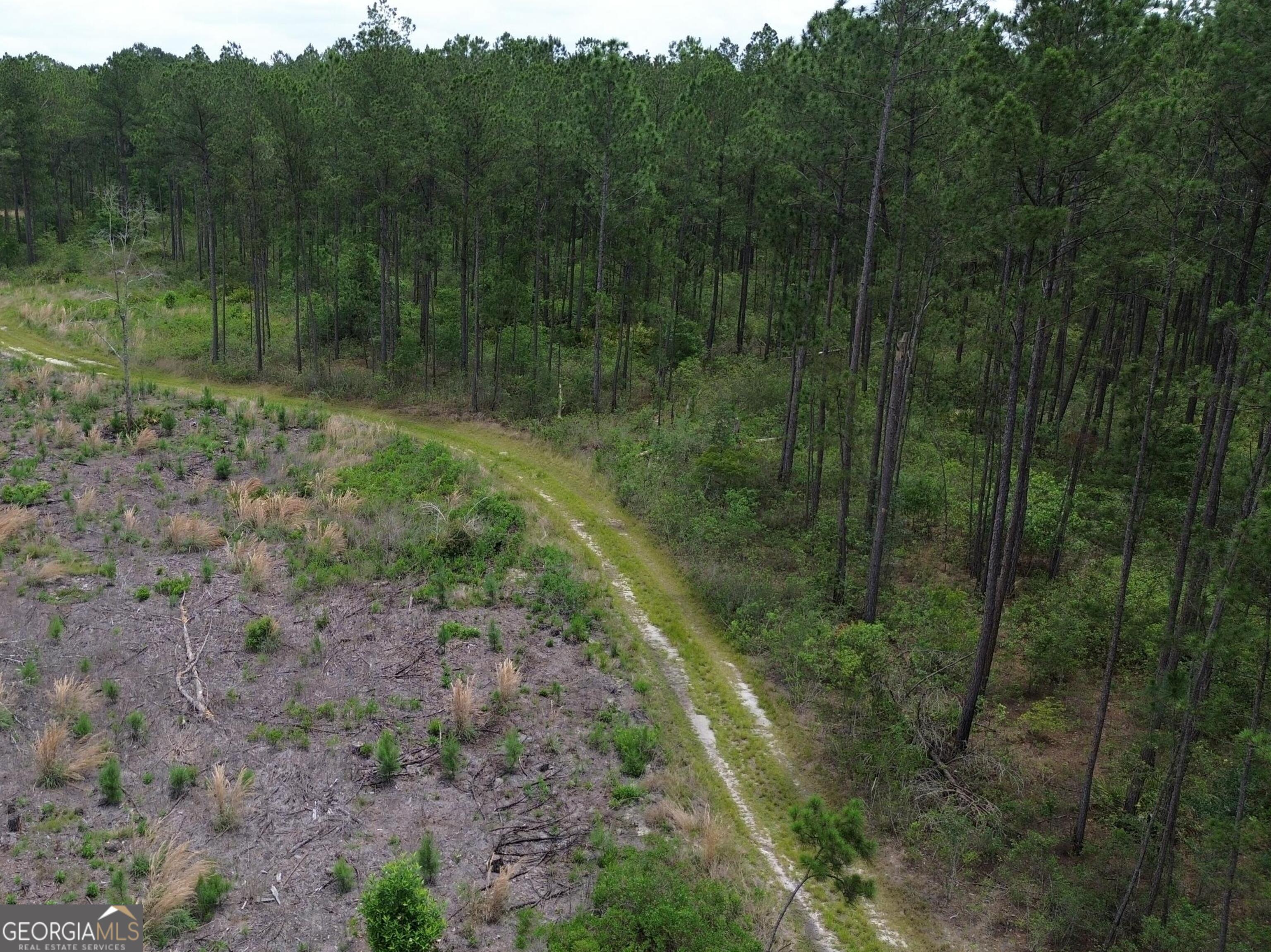 1 Bay Branch Church Road Claxton, GA 30417 - Photo 2 of 10