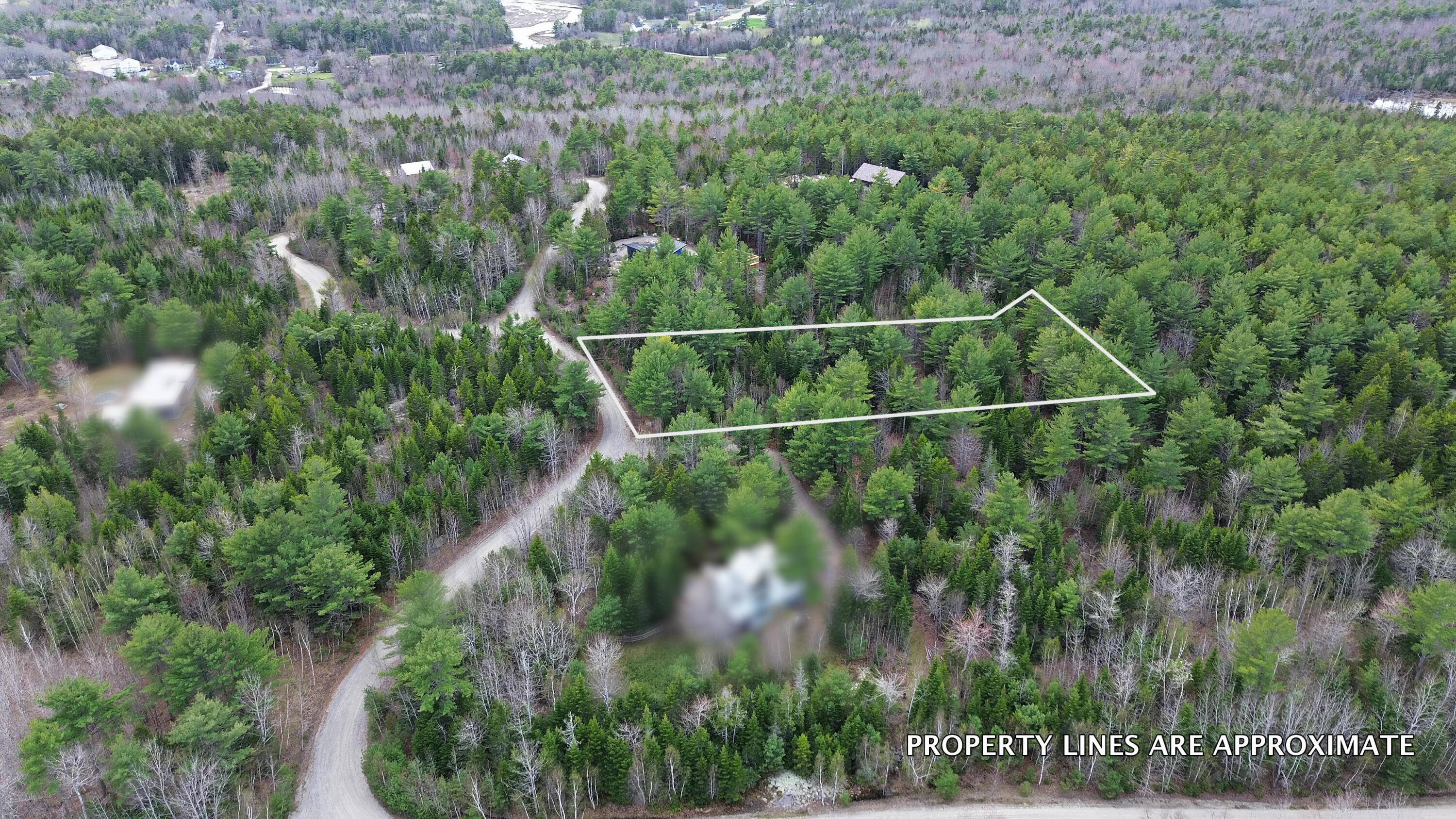 Lot 4 Bailey Mountain Road Franklin, ME 04634 - Photo 8 of 14