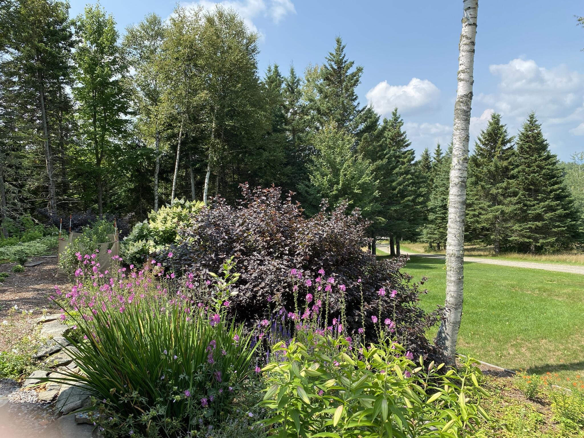 276 Thistle Street Upton, ME 04261 - Photo 21 of 80 IMG_4640