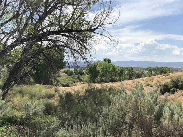 1781 10 Road Mack, CO 81525 - Photo 5 of 6 a view of mountain view with lots of trees