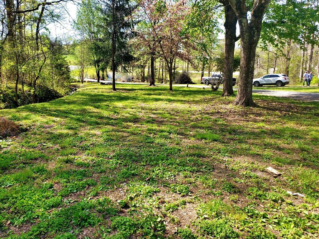 4507 River Road Ten Mile, TN 37880 - Photo 12 of 51 Gallery Image 12