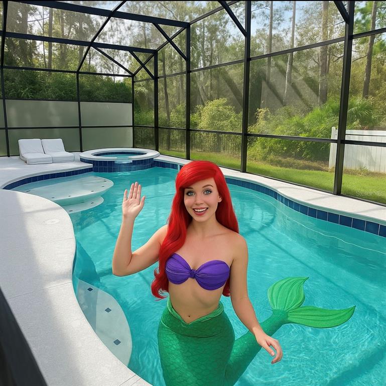 1326 Butterfly Orchid Road Davenport, FL 33837 - Photo 3 of 54