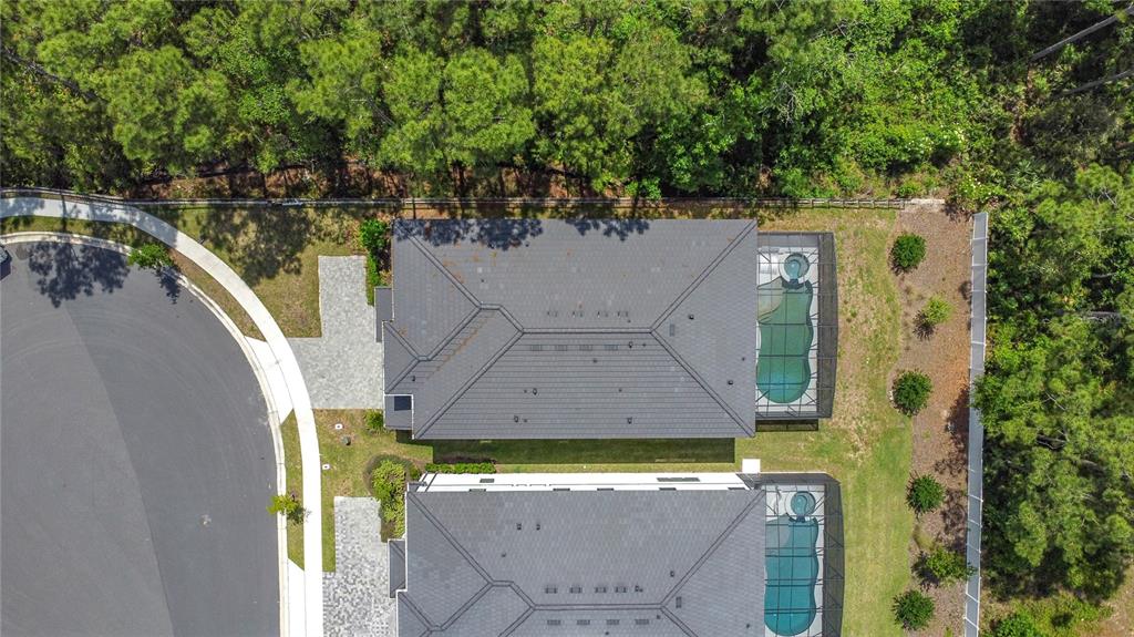 1326 Butterfly Orchid Road Davenport, FL 33837 - Photo 4 of 54 a view of a water fountain in front of house