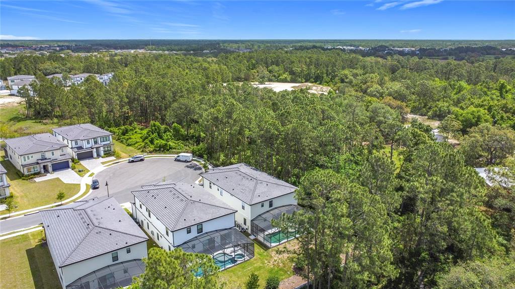 1326 Butterfly Orchid Road Davenport, FL 33837 - Photo 52 of 54 an aerial view of residential houses with outdoor space and trees