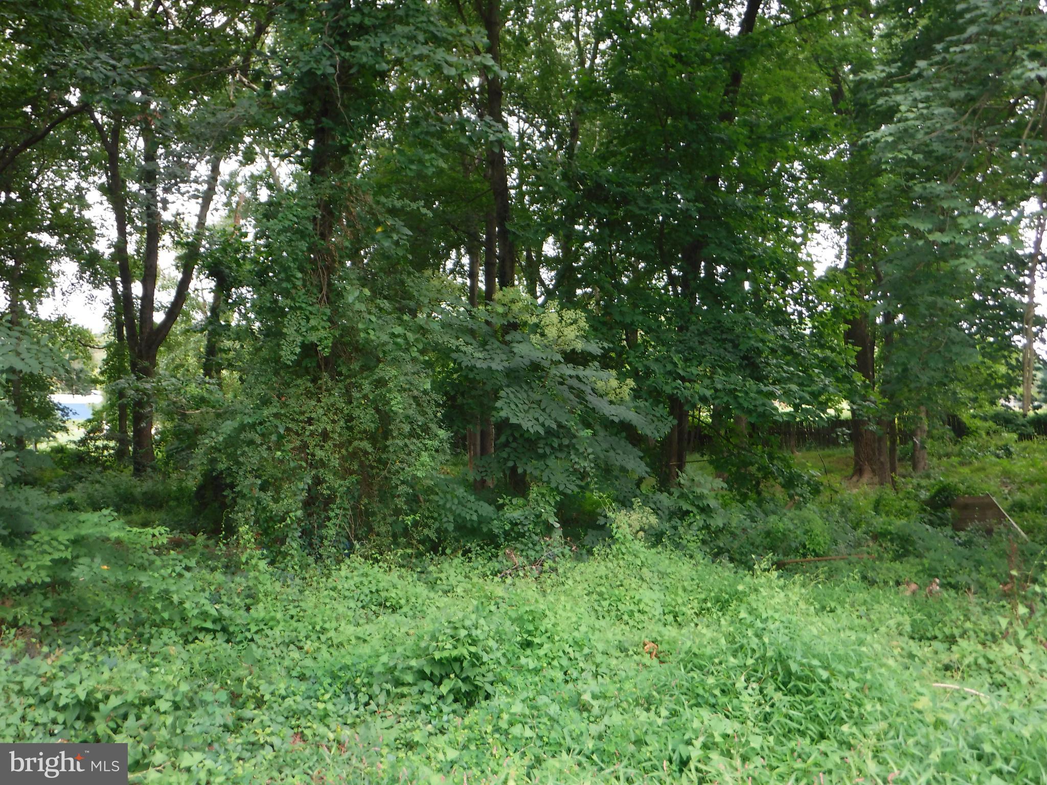 6950 Ridge Road Hanover, MD 21076 - Photo 29 of 29 Rear of Property