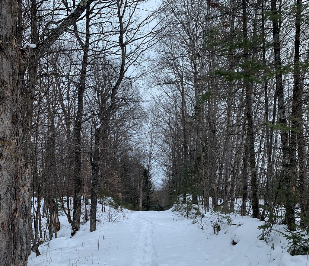 0 Other Butternut, WI 54514 - Photo 5 of 21